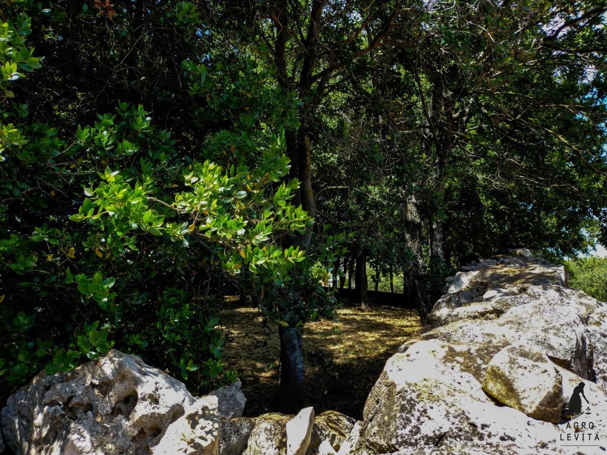 Agro Levita Locorotondo Dış mekan fotoğraf